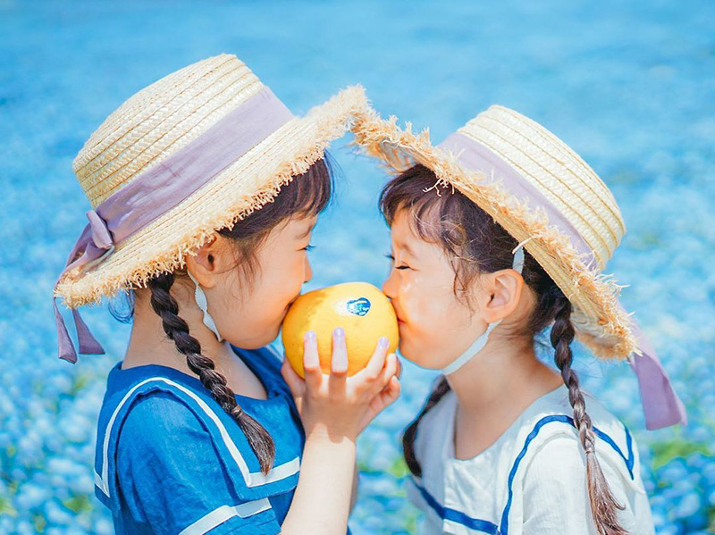 第7回フロリダグレープフルーツ Instagramフォトコンテスト結果発表! 80 niiiicoon様