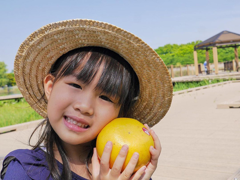 第7回フロリダグレープフルーツ Instagramフォトコンテスト結果発表! 106 ponpon87734様